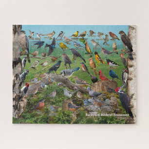 Puzzle Oiseaux Jardins du Tennessee
