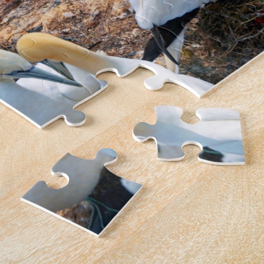 Puzzle Oiseaux marins (Côté)