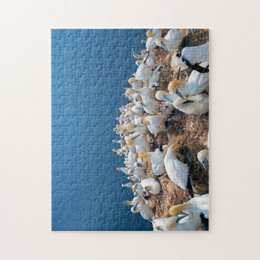 Puzzle Oiseaux marins (Vertical)