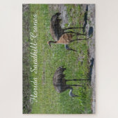 Puzzle Oiseaux mignons Floride Grue Sandhill Nature Pitto (Vertical)
