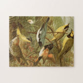 Puzzle Oiseaux nord-américains | Tzel Gustav Mü (Horizontal)