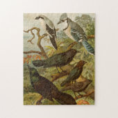 Puzzle Oiseaux nord-américains | Tzel Gustav Mü (Vertical)