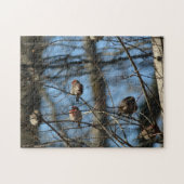 Puzzle Oiseaux photographiques de la maison Finch (Horizontal)