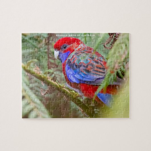 Puzzle Oiseaux Rosella d'Australie (Horizontal)