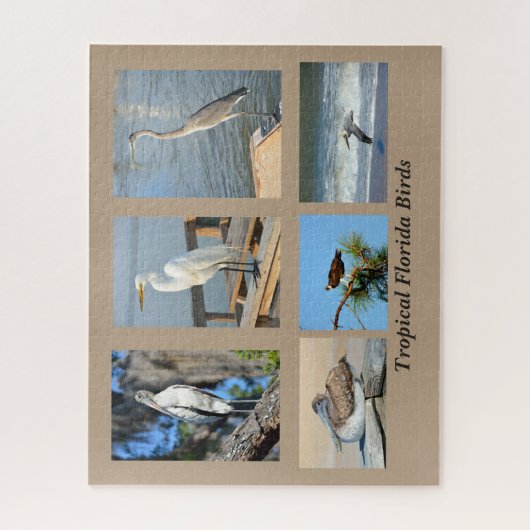 Puzzle Oiseaux tropicaux de Floride (Vertical)