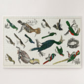 Puzzle Oiseaux vintages Vieille illustration Art Animaux (Horizontal)