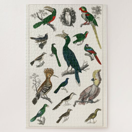 Puzzle Oiseaux vintages Vieille illustration Art Animaux (Vertical)