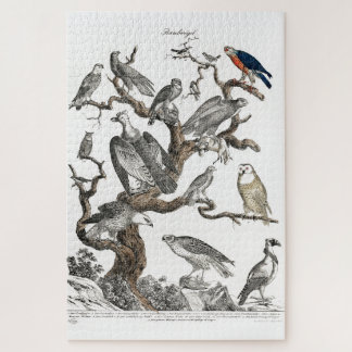 Puzzle Oiseaux vintages Vieux livre Illustration Art