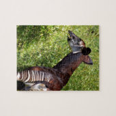 Puzzle Okapi dans la végétation (Horizontal)