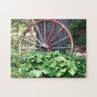 Old Wagon Wheel Trillium Flower Garden