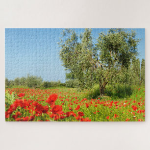 Puzzle Olivier dans le domaine de pavot en été