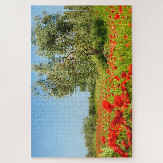Puzzle Olivier dans le domaine de pavot en été (Vertical)
