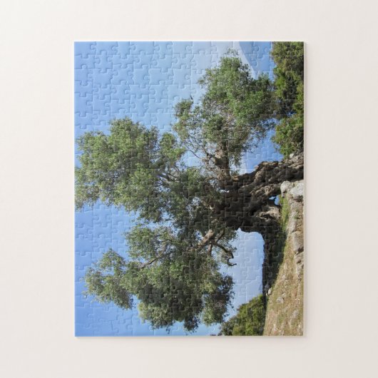 Puzzle Olivier grec (Kefalonia) (Vertical)