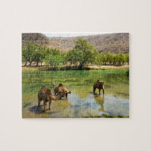 Puzzle Oman, Wadi darbat