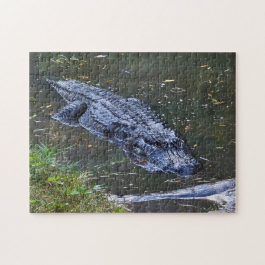 Puzzle Ombre dans les Hauts-Fonds (Horizontal)