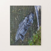 Puzzle Ombre dans les Hauts-Fonds (Vertical)