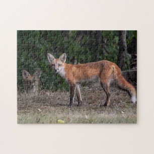 Puzzle On Vous Regarde