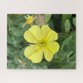 Puzzle Onagre jaune de plage, Oakland (Horizontal)