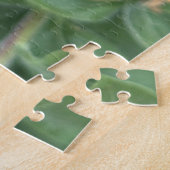 Puzzle Onagre jaune de plage, Oakland (Côté)