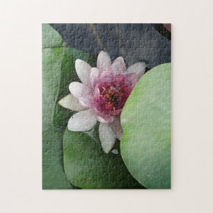 Puzzle Open Lotus Flower Photo