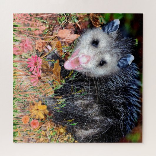 Puzzle Opossum (Horizontal)