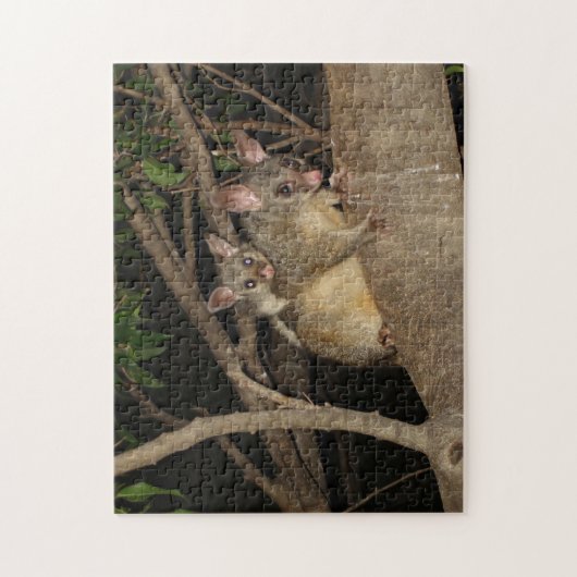 Puzzle Opossums de Brushtail (Vertical)