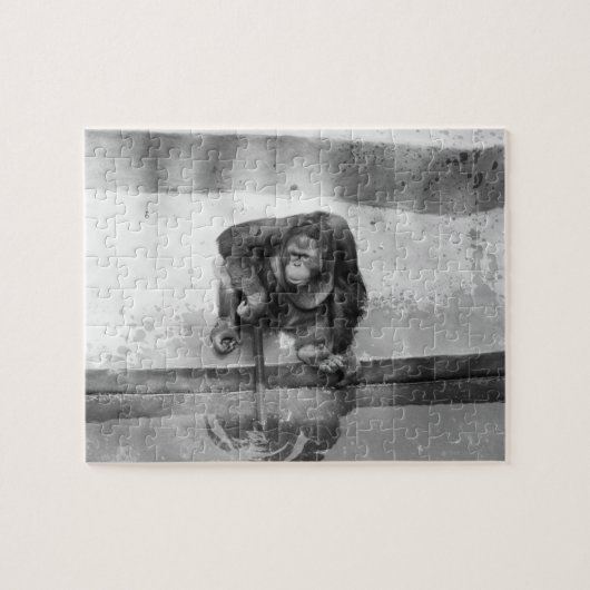 Puzzle Orang-outan (Horizontal)