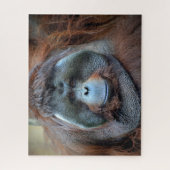 Puzzle Orang-outan (Vertical)