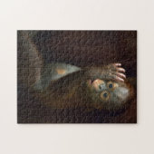 Puzzle Orang-outan (Horizontal)