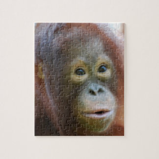 Puzzle Orang-outan sur l'île du Bornéo
