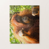 Puzzle Orang-outan Zoo de Singapour . (Vertical)