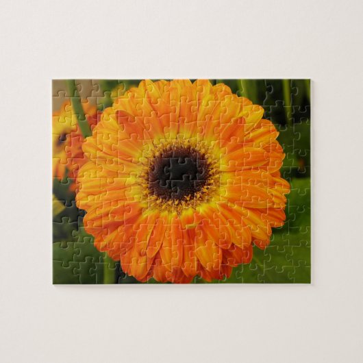 Puzzle Orange (Horizontal)