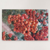 Puzzle Orange (Horizontal)