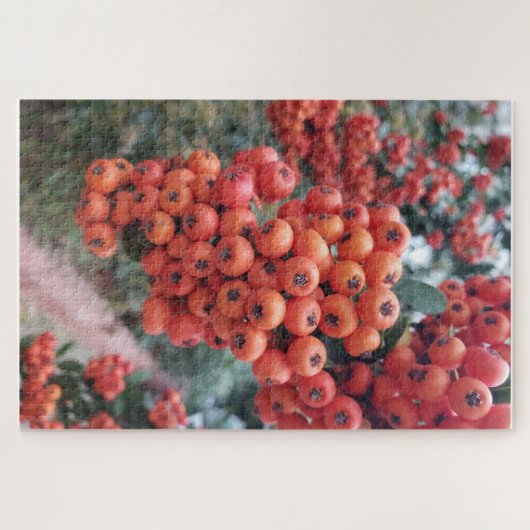 Puzzle Orange (Horizontal)