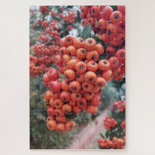 Puzzle Orange (Vertical)