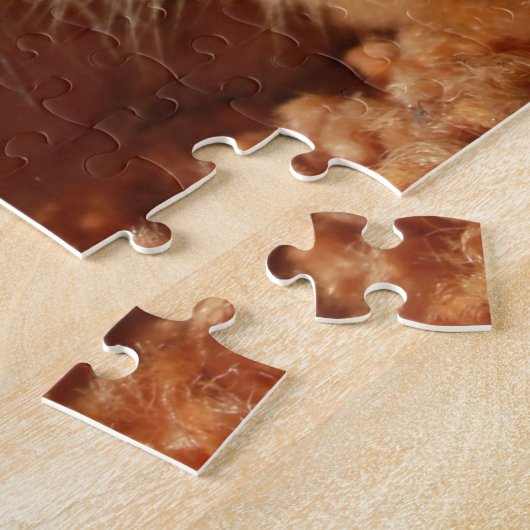 Puzzle Orange Cat (Côté)