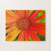 Puzzle Orange Daisy (Horizontal)