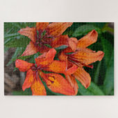 Puzzle Orange Daylily Canadian Flower Photography (Horizontal)