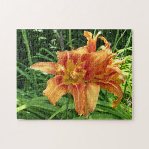 Puzzle Orange Daylily Flowers Horizontal