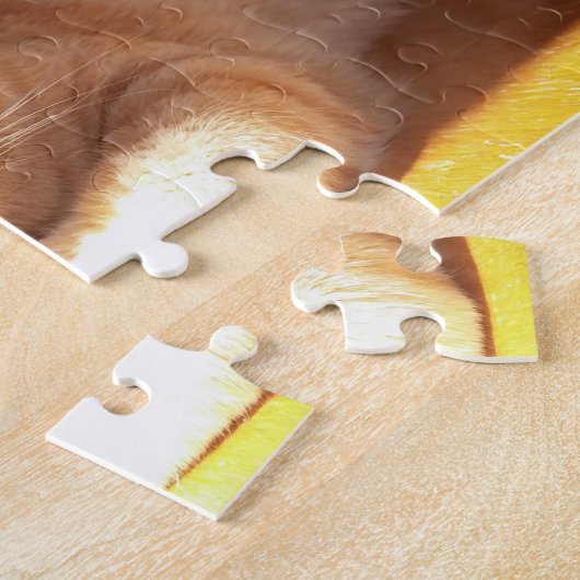 Puzzle orange de chaton (Côté)