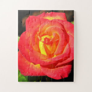 Puzzle Orange et rouge Rose haut de gamme