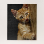 Puzzle Orange Kitten (Vertical)