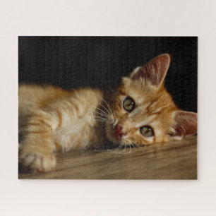 Puzzle Orange Kitten