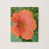 Puzzle Orange Nasturtium (Vertical)