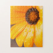 Puzzle Orange Spring Flash African Daisy Close Up Photo (Vertical)