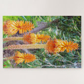 Puzzle Orange Tall Hot Poker Flowers, (Horizontal)