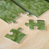 Puzzle Orange Tulips, Elizabeth Park Gardens Hartford CT (Côté)