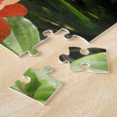 Puzzle Orange Zinnia (Côté)