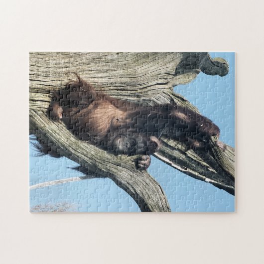 PUZZLE ORANGUTANS (Horizontal)
