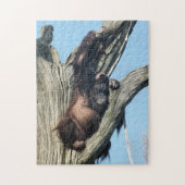 PUZZLE ORANGUTANS (Vertical)